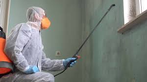 Reliable Hackettstown, NJ Mold Prevention & Removal  Solutions